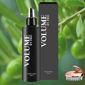 볼륨바이프로 볼륨 앤 샤인 헤어 볼류머 헤어스프레이+두피마사지빗, 1개, 200ml