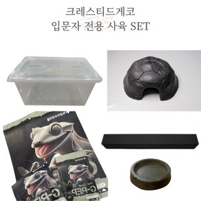 크레스티드게코 도마뱀 랜덤모프 ( 추가 옵션 : 입문자 전용 사육 SET ), 사육  SET, 1개