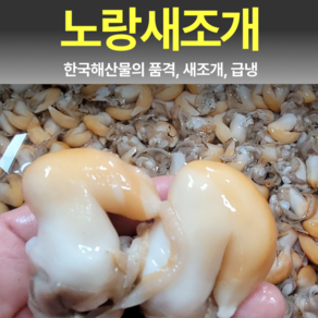 [생물급냉]입안에서 퍼지는 바다의 단맛 노랑새조개 입고!, 1세트, 200g
