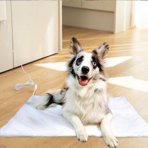 카미스쥬 고양이 강아지 애완 카본 전기방석 마약방석 온열방석 난방방석