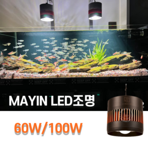 MAYIN RGB 풀스펙트럼 스팟조명 LED 발색 수초 금어 청수 조명, 60W, 1개