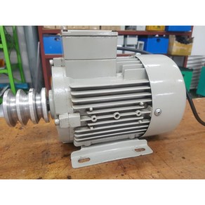 INDUCTION MOTOR 0.75KW 4P 1700RPM 220/380V 60HZ, 1개, 본품(배터리없음)