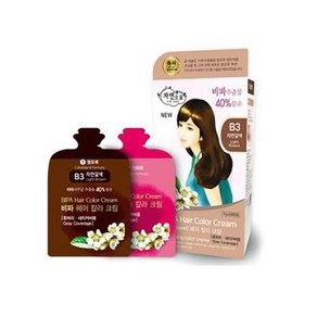 비파 헤어칼라크림 B3 자연갈색 새치커버용 염모제 20ml 3개 산화제 20ml 3개