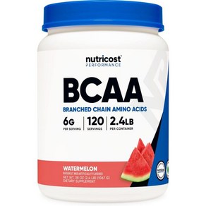 영양가 BCAA 파우더 2:1:1 120인분 수박, 1.067kg, 2개