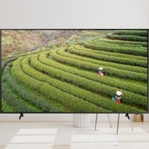 삼성전자 4K UHD QLED TV 163cm 방문설치, 163cm(65인치), KQ65QA67AFXKR, 스탠드형