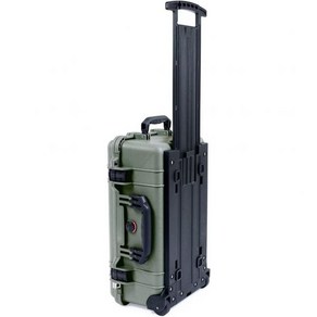 Pelican 컬러 케이스 OD Geen Black 1510 case with TekPak divides mesh lid oganize., 1개