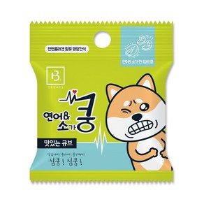 브리더랩 한입에 쿵 소고기&연어 20g X 50개