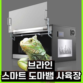 브라인 스마트 도마뱀 사육장 애완거북이 파충류사육장 전갈 타란튤라 뱀먹이, 1개, BLACK(80x55x55)