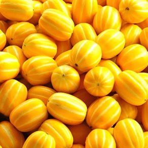 아삭아삭 꿀 달콤 성주 참외 가정용, 4.5kg (최저가 행사중), 1박스