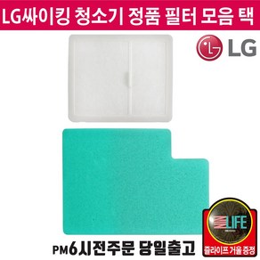 LG전자 싸이킹 청소기 정품 모터 필터 모음 (즐라이프 거울 증정), 1개, SS-1/스펀지 필터A04