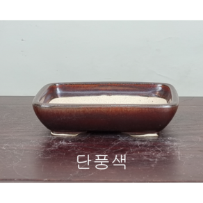 36. 손바닥정원 낮은직사각형 분재화분 승전분, 코발트, 1개