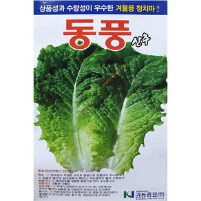 동풍청치마 상추씨앗 4g 권농종묘 24년, 1개