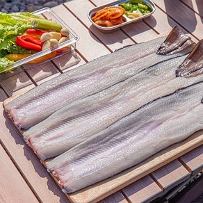 심가네 특미 손질 국산 자포니카 민물장어 3kg(손질 후 1.8kg)