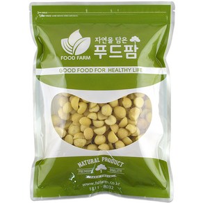 푸드팜 마카다미아 호주산, 500g, 1개