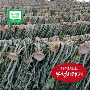 시래기 무청 말린 우거지 건무청 유기농 건시래기 무 나물 500g, 1개