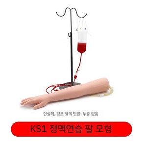 정맥 주사 연습 채혈 모형 실습 간호사 훈련 실습용 근육, A. KS1 팔모형 마네킹