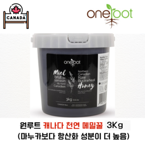 원루트 캐나다직배송 마누카꿀보다 항산화높은 효능 100% 유기농 천연 메밀꿀 생꿀 3kg, 1개