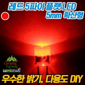 5파이 플랫 확산형LED(레드/DIY용/다용도/교재용), 100개, 1개