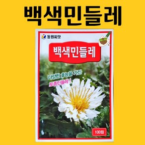 농사친구 백색민들레 씨앗 100립 동원 씨 종자 상추 쪽파 고사리 명이나물 산상추 초당옥수수 항암배추 담배 산마늘 아스파라거스 고수, 1개