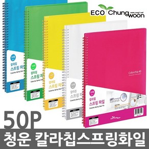 청운 A4 칼라칩 스프링 클리어화일 50P 클리어파일