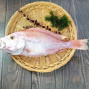 부산 반건조 생선 자연산 적돔 손질 제수용 구이용 찜용, 중1마리(35cm 내외), 1개