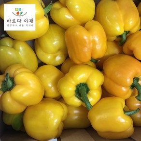 바르다야채 노랑파프리카(특) 1kg 3kg 5kg, 1개