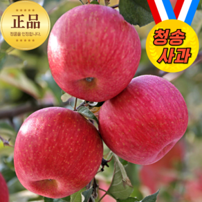 경북 사과 고당도 가정용 부사 못난이, 1개, 가정용 혼합_5kg