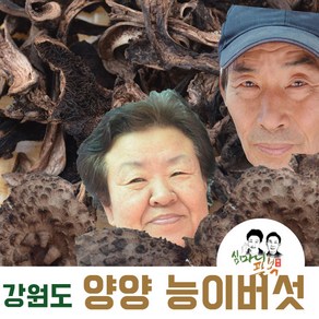 자연산 능이버섯 건조능이 햇능이 냉동능이버섯 강원도 양양능이버섯, 건조능이50g, 1개