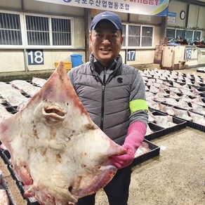 식품애착 흑산도 홍어 100% 국산 참홍어 산지직송, 국산 싱싱 홍어 1kg+홍어애(증정), 강한 삭힘, 1개