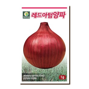 다농 레드아텀 양파 씨앗 1g, 64-레드아텀양파1g, 1개