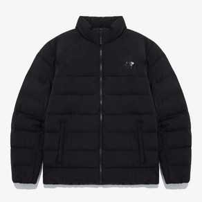 [국내매장] 노스페이스 다운 남성 라이제 RDS 자켓 M S LYSE DOWN JACKET #간절기방한용 NJ1DQ14A