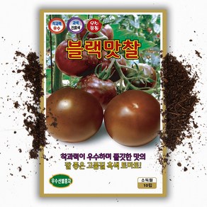 흑 토마토씨앗 10립 블랙 찰 완숙 토마토 종자, 1개