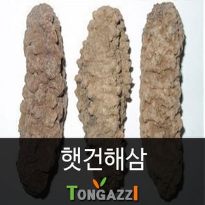 건해삼 자연건조 중화요리용 가능 왕특 특 대 중 소 사이즈별 판매 한국산 별도 판매중 *영업용은 특사이즈 이상 주문요망