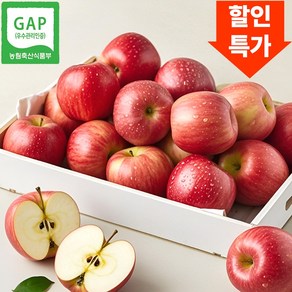 꿀사과 당도선별 부사 사과, 1박스, 5kg 혼합과 (할인특가)