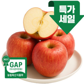 고당도 사과 부사 특가행사, 1개, (혼합)5KG 특가진행