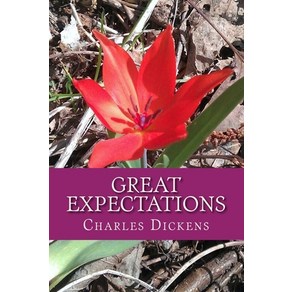 Geat Expectations Papeback, Ceatespace Independent Pub..., English, 9781546407485