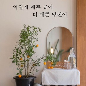 뮤즈 이렇게 예쁜 곳에 레터링 감성 글귀 스티커 시트지, S, 검정