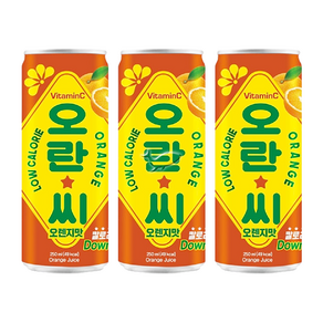 오란씨 오렌지 250ml, 20개