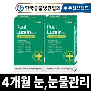 펫생각 리얼 루테인 강아지 눈 눈물 자국 영양제 보조제 백내장 녹내장 눈노화 예방 시력저하 120g, 2개, 눈물개선/눈건강