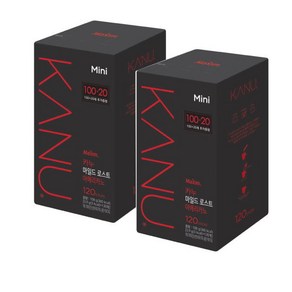 동서식품 동서 맥심 카누 마일드로스트 미니 240T, 900mg, 120개입, 2개