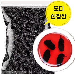 호나국제 건과일 상심자 굿 가성비 오디열배 건오디 뽕나무 열매 500g/봉, 2개