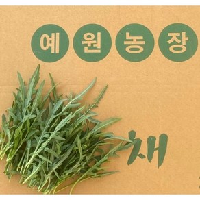 당일수확한 와일드 루꼴라 500g, 1개, g