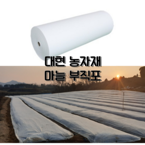 농업용 서리방지부직포 못자리부직포 20g 40g 마늘부직포 양파부직포 고추부직포