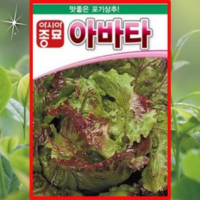 아바타 포기상추 1000립 맛좋고 인기있는 아바타상추 아시아종묘, 1개