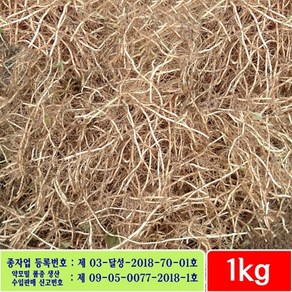 어성초 생뿌리 국산 농장직송, 1개, 1kg