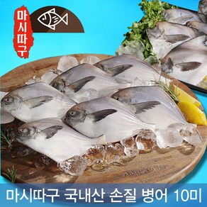 부산공동어시장에서 직접 경매받은 신선한 생선 마시따구 국내산 손질 병어 세척 급냉