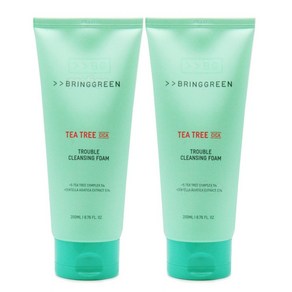 브링그린 티트리 시카 트러블 클렌징 폼 200mlx2개, 2개, 200ml