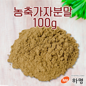 농축 가자 분말 100g 천연염료 천연염색재료