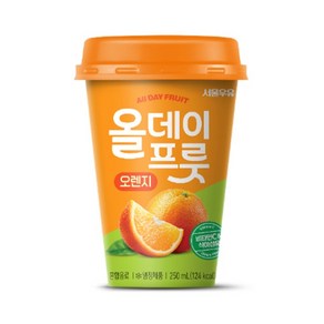 올데이프룻 오렌지+ 아이스포장, 서울우유 올데이프룻 오렌지, 250ml, 10개, 10개, 250ml