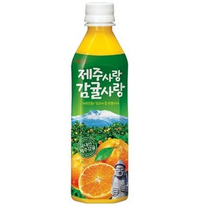 롯데칠성음료 제주감귤 500ml x 24펫, 24개